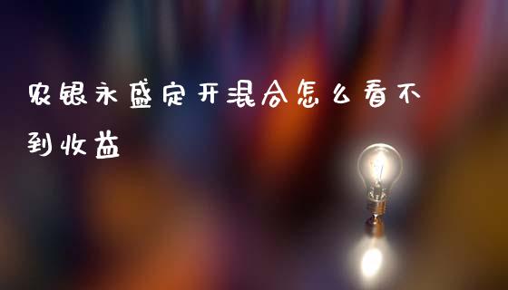 农银永盛定开混合怎么看不到收益_https://wap.yjjixie.cn_商业资讯_第1张