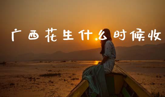 广西花生什么时候收_https://wap.yjjixie.cn_港股行情_第1张
