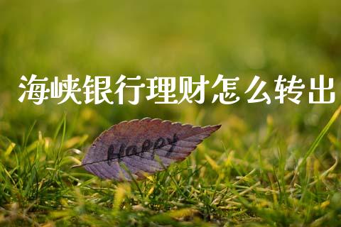 海峡银行理财怎么转出_https://wap.yjjixie.cn_证券市场_第1张