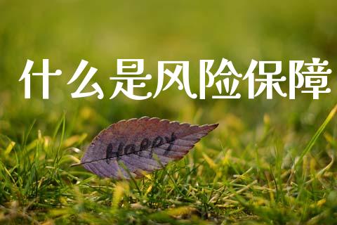 什么是风险保障_https://wap.yjjixie.cn_证券市场_第1张