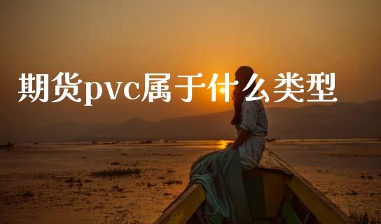 期货pvc属于什么类型_https://wap.yjjixie.cn_保险理财_第1张