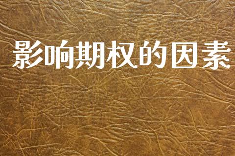 影响期权的因素_https://wap.yjjixie.cn_商业资讯_第1张