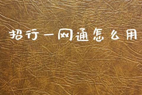 招行一网通怎么用_https://wap.yjjixie.cn_保险理财_第1张