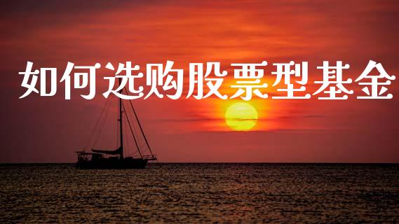 如何选购股票型基金_https://wap.yjjixie.cn_保险理财_第1张
