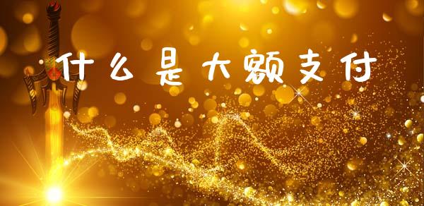 什么是大额支付_https://wap.yjjixie.cn_保险理财_第1张