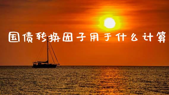 国债转换因子用于什么计算_https://wap.yjjixie.cn_商业资讯_第1张