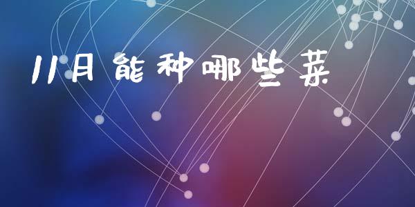 11月能种哪些菜_https://wap.yjjixie.cn_保险理财_第1张