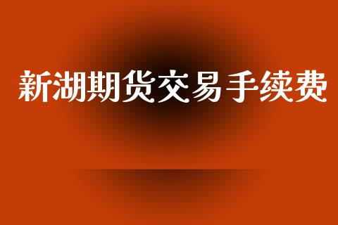 新湖期货交易手续费_https://wap.yjjixie.cn_港股行情_第1张