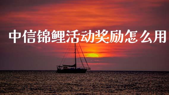 中信锦鲤活动奖励怎么用_https://wap.yjjixie.cn_证券市场_第1张
