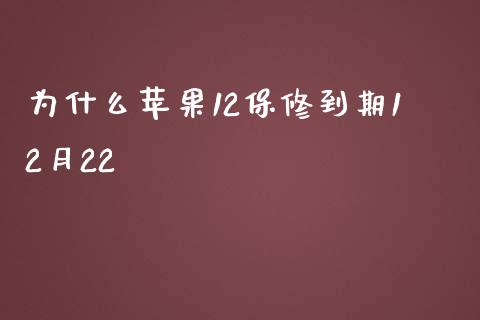 为什么苹果12保修到期12月22_https://wap.yjjixie.cn_保险理财_第1张