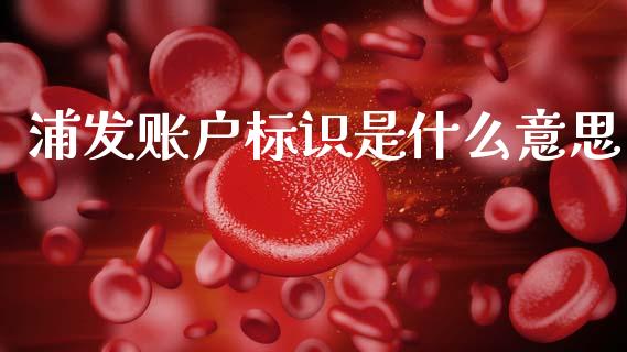 浦发账户标识是什么意思_https://wap.yjjixie.cn_商业资讯_第1张