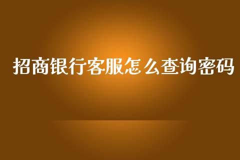 招商银行客服怎么查询密码_https://wap.yjjixie.cn_证券市场_第1张
