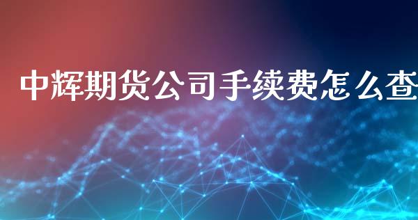 中辉期货公司手续费怎么查_https://wap.yjjixie.cn_港股行情_第1张