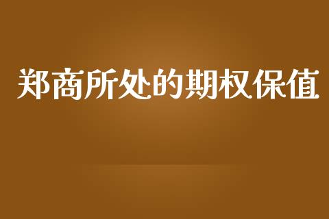 郑商所处的期权保值_https://wap.yjjixie.cn_保险理财_第1张