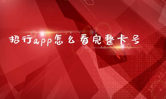 招行app怎么看完整卡号_https://wap.yjjixie.cn_港股行情_第1张