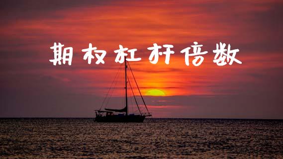 期权杠杆倍数_https://wap.yjjixie.cn_商业资讯_第1张