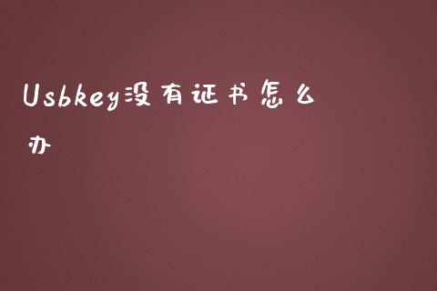 Usbkey没有证书怎么办_https://wap.yjjixie.cn_证券市场_第1张