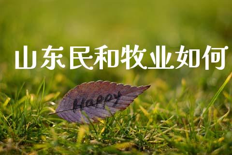 山东民和牧业如何_https://wap.yjjixie.cn_保险理财_第1张