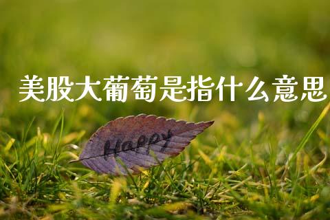 美股大葡萄是指什么意思_https://wap.yjjixie.cn_证券市场_第1张