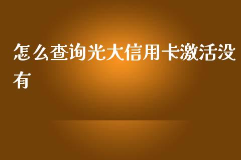 怎么查询光大信用卡激活没有_https://wap.yjjixie.cn_港股行情_第1张