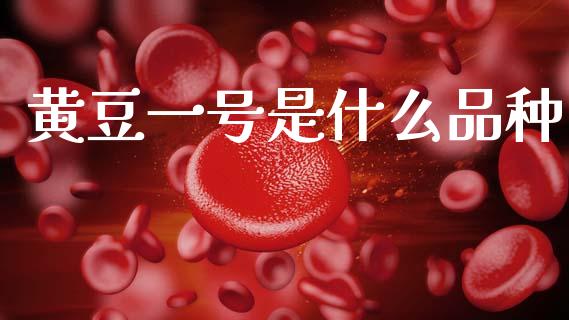 黄豆一号是什么品种_https://wap.yjjixie.cn_保险理财_第1张