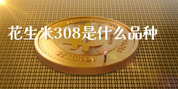花生米308是什么品种_https://wap.yjjixie.cn_证券市场_第1张