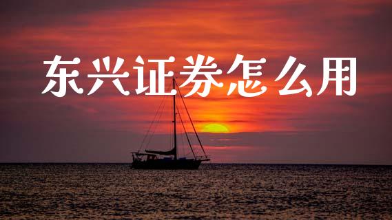 东兴证券怎么用_https://wap.yjjixie.cn_商业资讯_第1张
