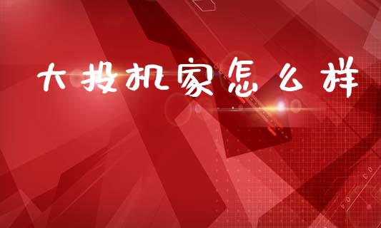 大投机家怎么样_https://wap.yjjixie.cn_商业资讯_第1张
