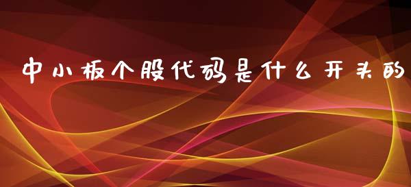 中小板个股代码是什么开头的_https://wap.yjjixie.cn_港股行情_第1张