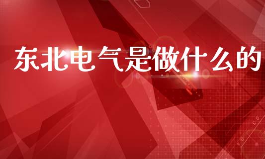 东北电气是做什么的_https://wap.yjjixie.cn_保险理财_第1张