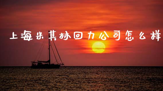 上海米其林回力公司怎么样_https://wap.yjjixie.cn_港股行情_第1张