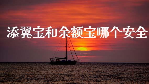 添翼宝和余额宝哪个安全_https://wap.yjjixie.cn_港股行情_第1张