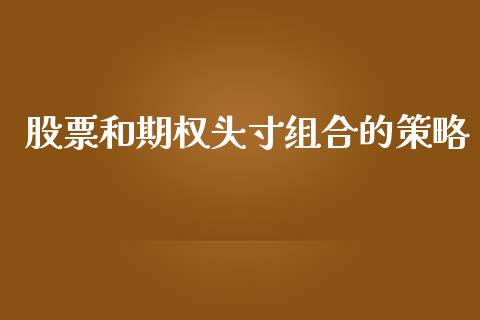 股票和期权头寸组合的策略_https://wap.yjjixie.cn_保险理财_第1张