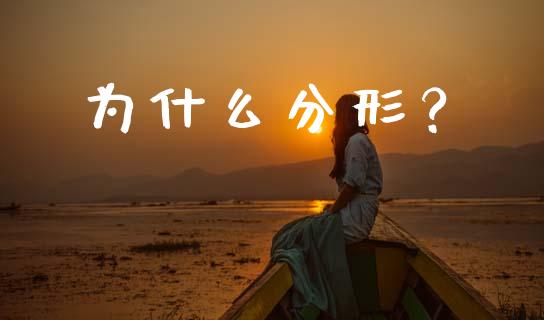 为什么分形？_https://wap.yjjixie.cn_港股行情_第1张