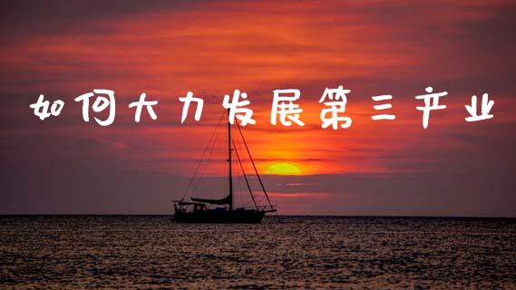 如何大力发展第三产业_https://wap.yjjixie.cn_保险理财_第1张
