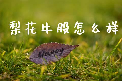 梨花牛股怎么样_https://wap.yjjixie.cn_商业资讯_第1张