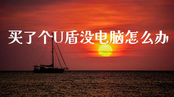 买了个U盾没电脑怎么办_https://wap.yjjixie.cn_商业资讯_第1张