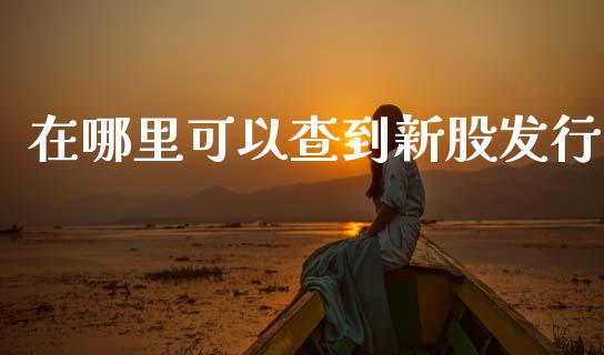 在哪里可以查到新股发行_https://wap.yjjixie.cn_商业资讯_第1张