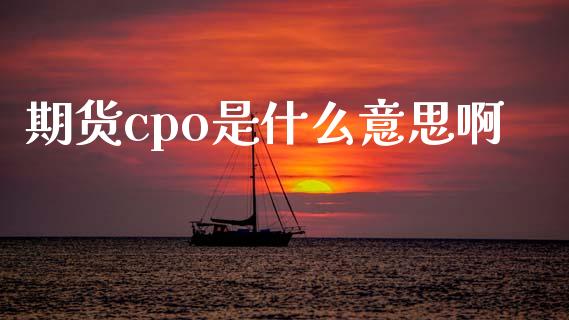 期货cpo是什么意思啊_https://wap.yjjixie.cn_证券市场_第1张
