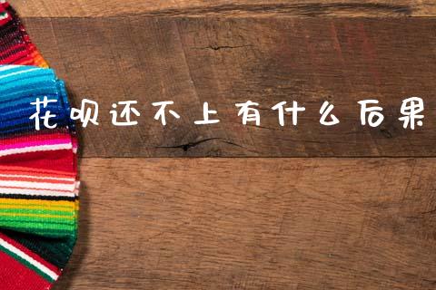 花呗还不上有什么后果_https://wap.yjjixie.cn_保险理财_第1张