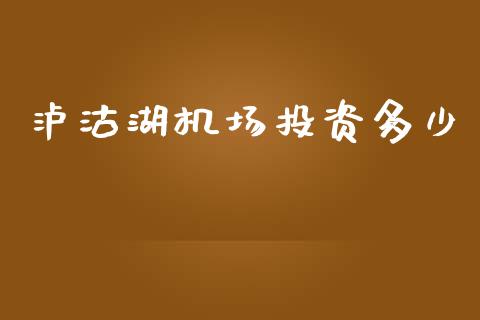 泸沽湖机场投资多少_https://wap.yjjixie.cn_商业资讯_第1张