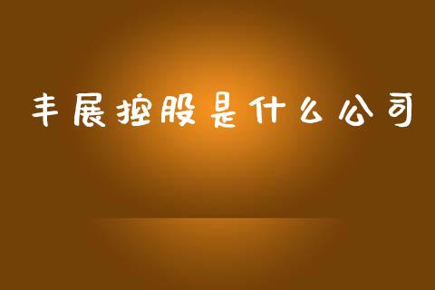 丰展控股是什么公司_https://wap.yjjixie.cn_保险理财_第1张