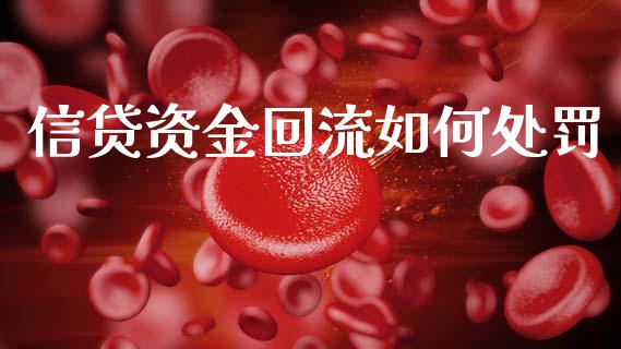 信贷资金回流如何处罚_https://wap.yjjixie.cn_港股行情_第1张