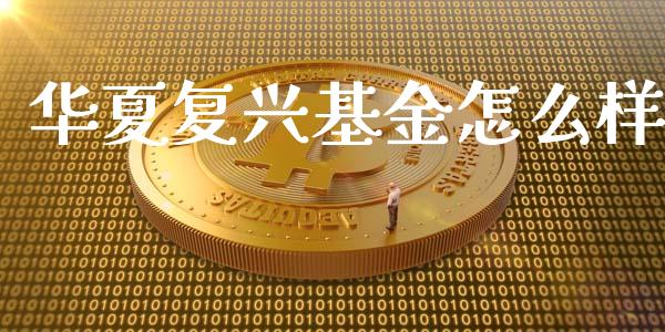 华夏复兴基金怎么样_https://wap.yjjixie.cn_证券市场_第1张