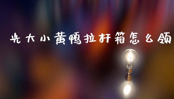 光大小黄鸭拉杆箱怎么领_https://wap.yjjixie.cn_保险理财_第1张