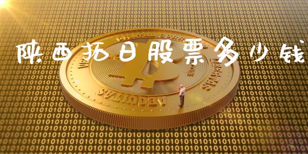 陕西拓日股票多少钱_https://wap.yjjixie.cn_保险理财_第1张