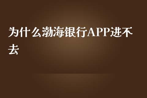 为什么渤海银行APP进不去_https://wap.yjjixie.cn_商业资讯_第1张