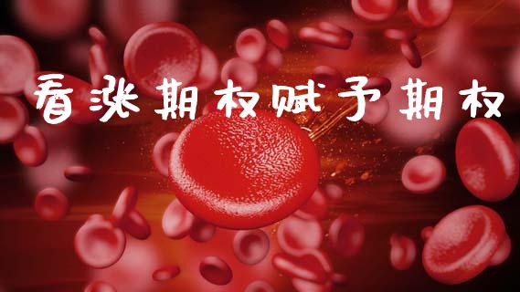 看涨期权赋予期权_https://wap.yjjixie.cn_保险理财_第1张