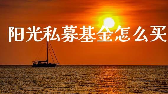 阳光私募基金怎么买_https://wap.yjjixie.cn_港股行情_第1张