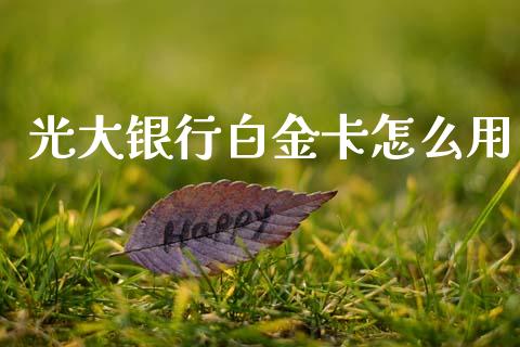 光大银行白金卡怎么用_https://wap.yjjixie.cn_商业资讯_第1张